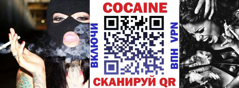 Купить закладку Карачев МЕФ 